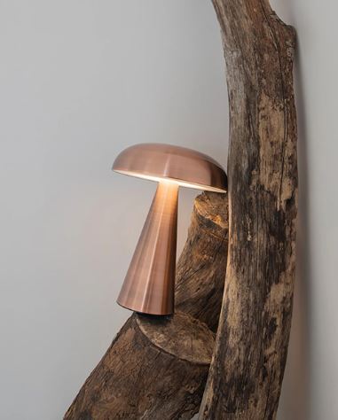 Porcini