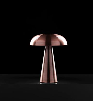 Porcini