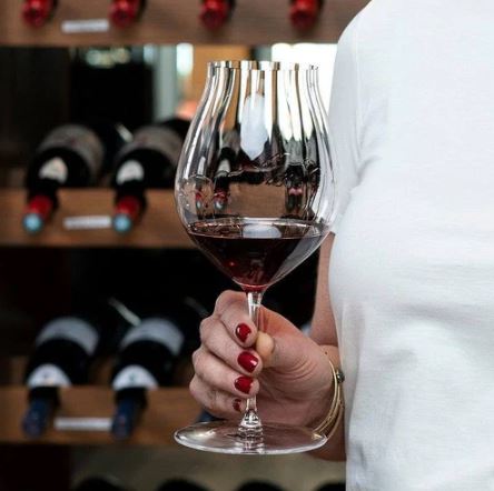 Performance Pinot Noir Glasses 830ml, Set of 2