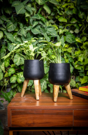 Rose Planter Set of 2 w/Faux Leaves
