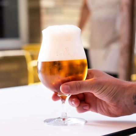 Craft Beer Glasses 540ml, Set of 6