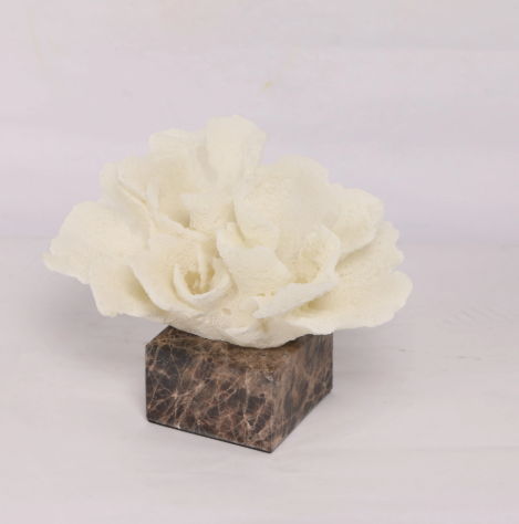 Flora Coral ~ Marble Object