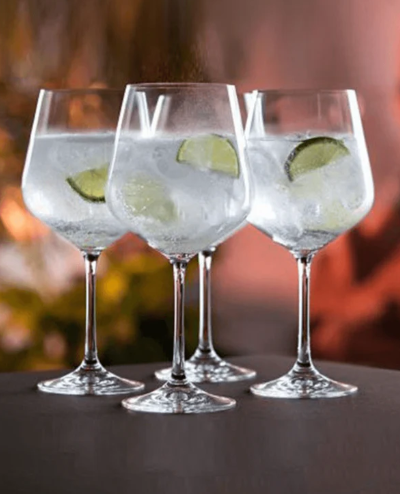 Cheers! Copa Gin Glass