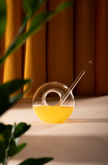 Hunar Donut Glass