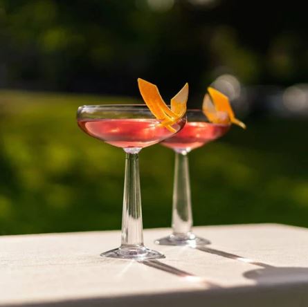 Big Top Coupe Glasses 235ml, Set of 2