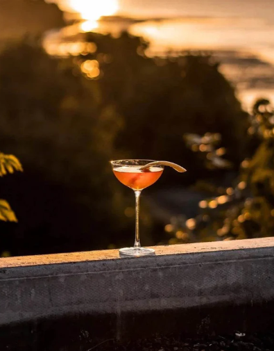 Hepburn Coupe Glass
