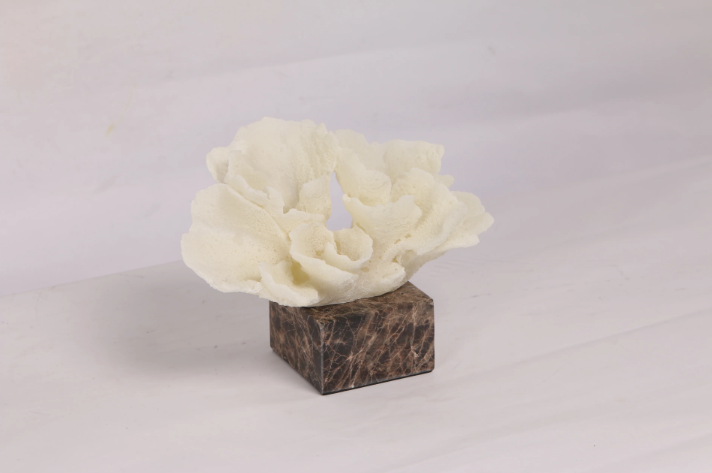 Flora Coral ~ Marble Object