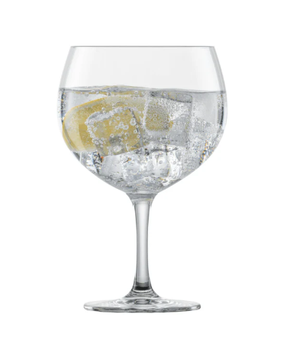 Bar Special Gin & Tonic