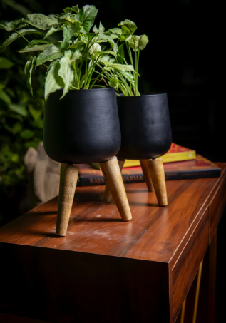 Rose Planter Set of 2 w/Faux Leaves