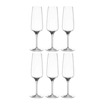 Champagne Glasses 240ml, Set of 6
