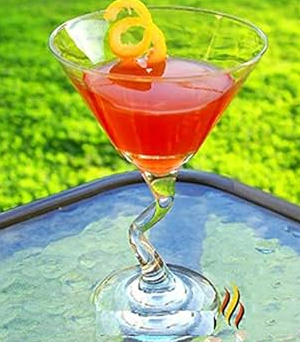 Salsa Martini Glass (Pack Of 6)