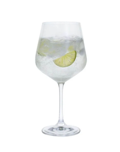Cheers! Copa Gin Glass