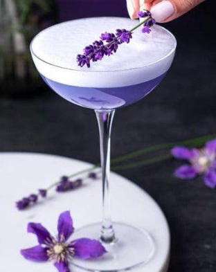 Hepburn Coupe Glass