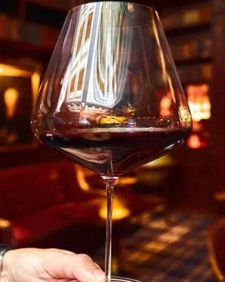 Zalto Burgundy Glass