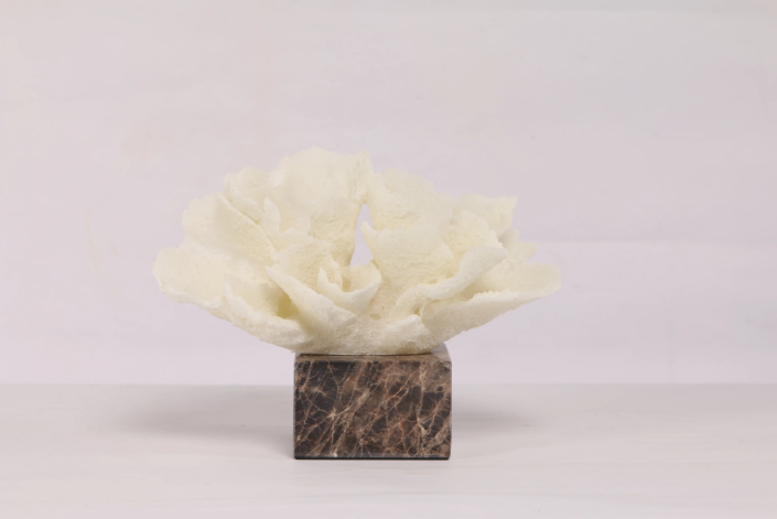 Flora Coral ~ Marble Object