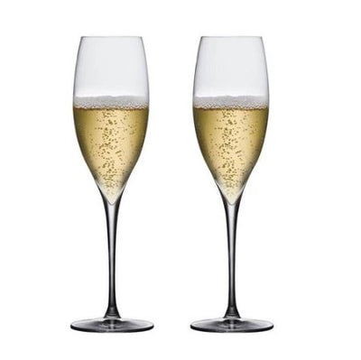 Terroir Champagne Glasses 225ml, Set of 2