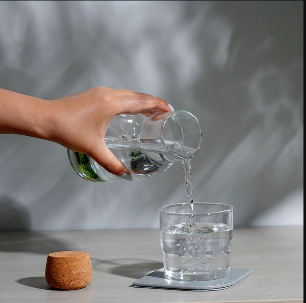 Borosilicate Glass Bottle With Cork Lid - Large