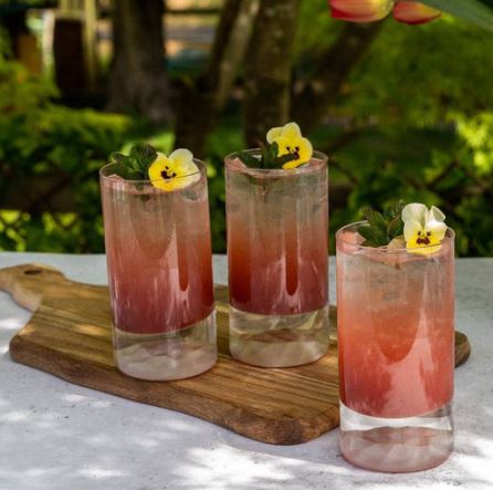 Club  Ice Highball Glasses 280ml, Set of 4