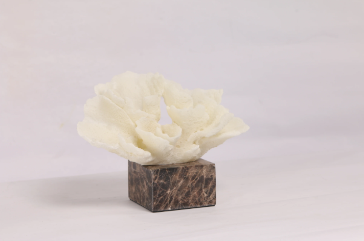 Flora Coral ~ Marble Object