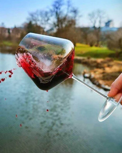 Zalto Burgundy Glass