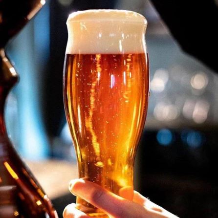 Revival Beer Glasses 480ml, Set of 6