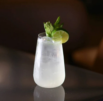 Speakeasy Swing Highball Glasses 570ml, Set of 6