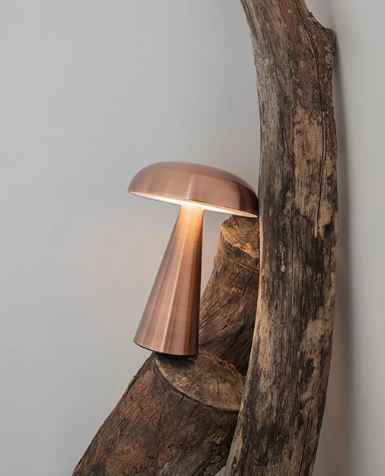 Porcini