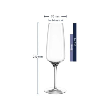 Champagne Glasses 240ml, Set of 6