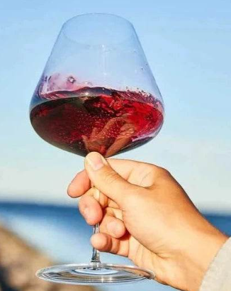 Zalto Burgundy Glass