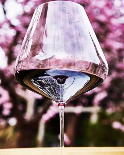 Zalto Burgundy Glass