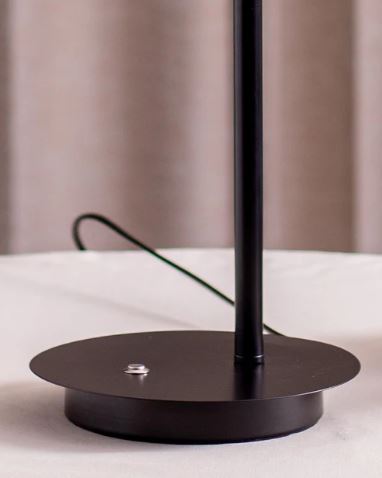 Aves 2-Bird Ambient Desk Lamp