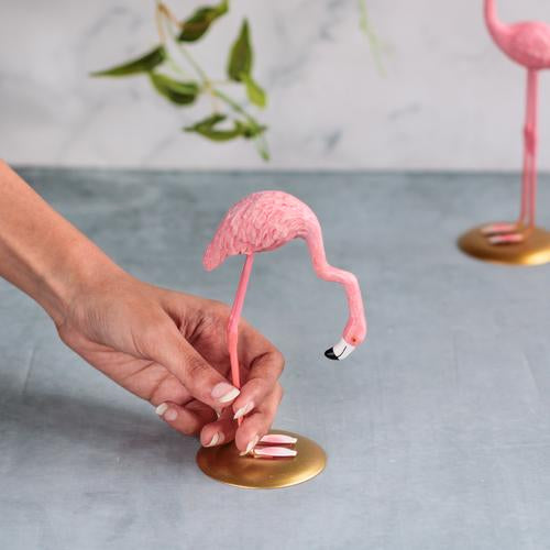 Pink Flamingo