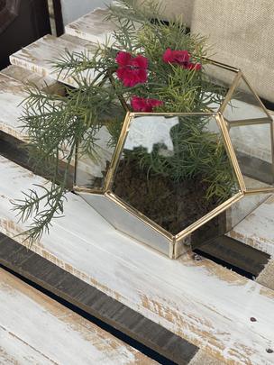 Geometrical Terrarium Glass Table Top Artware