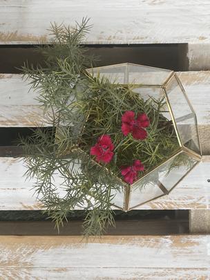 Geometrical Terrarium Glass Table Top Artware